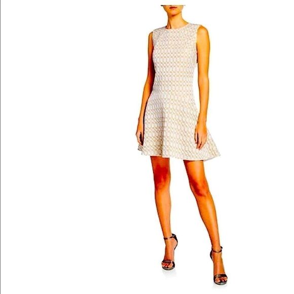 NWT Josie Natori Tan Fit Flare Jacquard Dress 12 - Picture 1 of 6